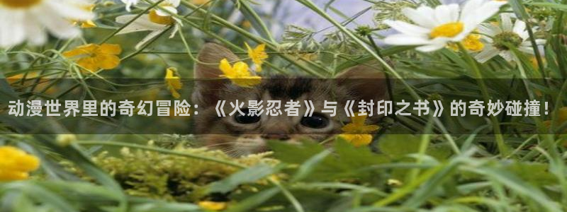 黑色五叶草风车动漫：动漫世界里的奇幻冒险：《火影忍者》与《封印之书》的奇妙碰撞！