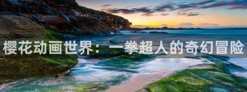 风车动漫 里番：樱花动画世界：一拳超人的奇幻冒险