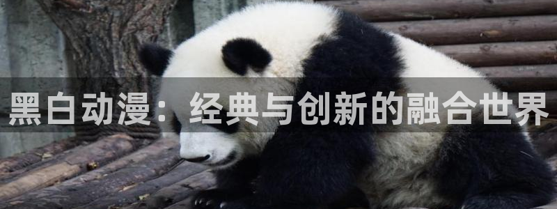 风车动漫_专注动漫的门户p：黑白动漫：经典与创新的融合世界