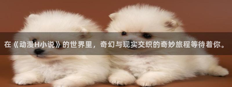 风车动漫p专注动漫的门户：在《动漫H小说》的世界里，奇幻与现实交织的奇妙旅程等待着你。
