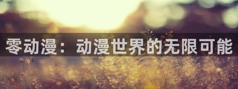 风车动漫之：零动漫：动漫世界的无限可能