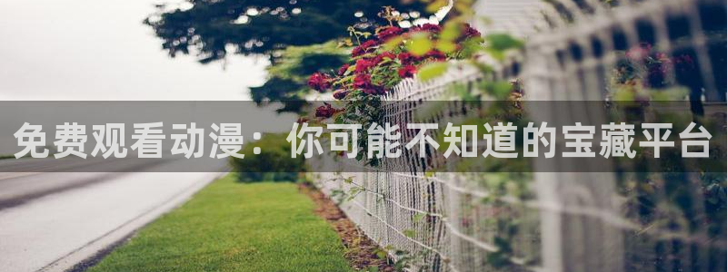 overlord第三季风车动漫：免费观看动漫：你可能不知道的宝藏平台