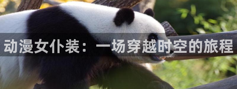 虚构推理风车动漫：动漫女仆装：一场穿越时空的旅程